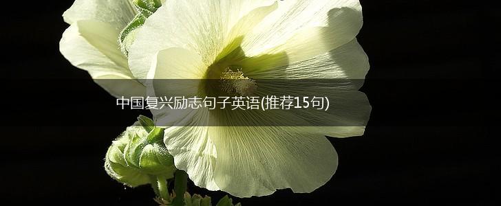中国复兴励志句子英语(推荐15句),第1张