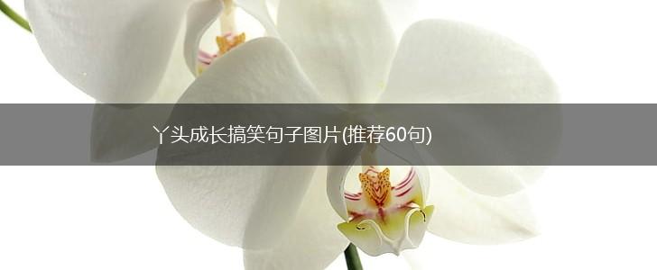丫头成长搞笑句子图片(推荐60句),第1张
