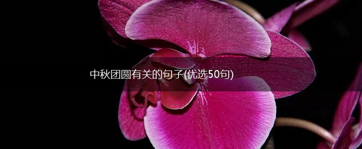 中秋团圆有关的句子(优选50句),第1张