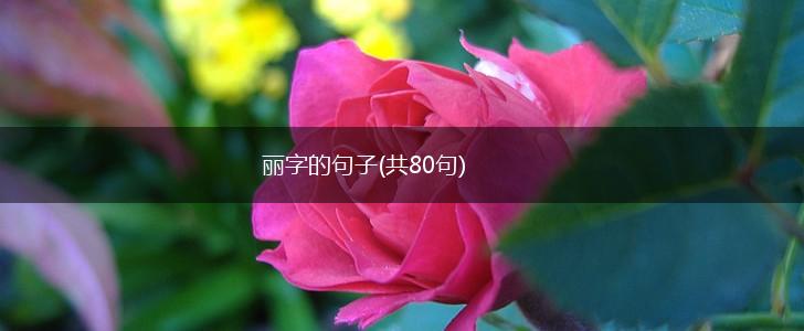 丽字的句子(共80句),第1张