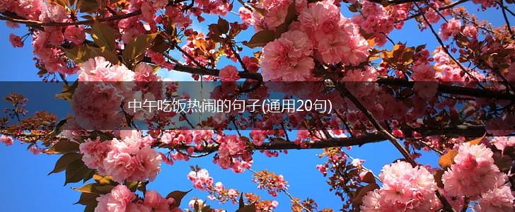 中午吃饭热闹的句子(通用20句),第1张