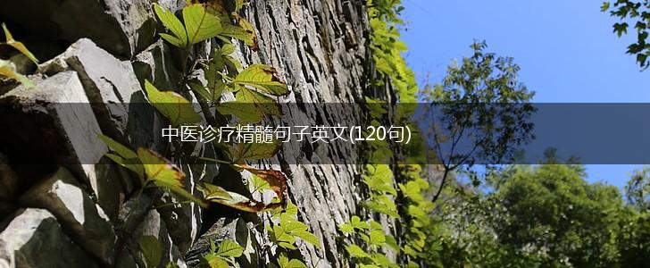 中医诊疗精髓句子英文(120句),第1张