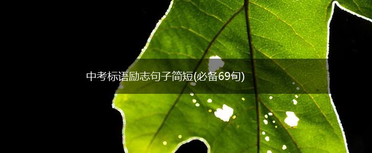 中考标语励志句子简短(必备69句),第1张
