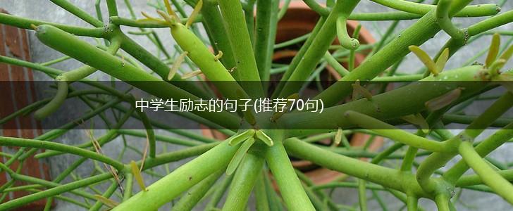 中学生励志的句子(推荐70句),第1张
