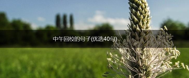 中午回校的句子(优选40句),第1张