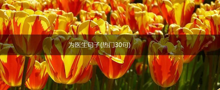 为医生句子(热门30句),第1张