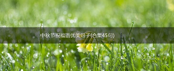 中秋节祝福语优美句子(合集45句),第1张
