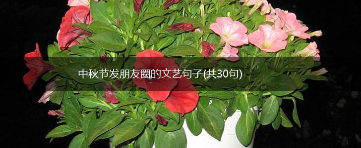 中秋节发朋友圈的文艺句子(共30句),第1张