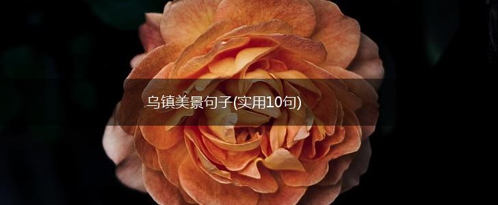 乌镇美景句子(实用10句),第1张