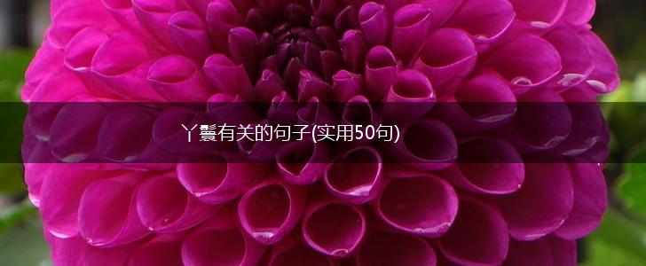 丫鬟有关的句子(实用50句),第1张