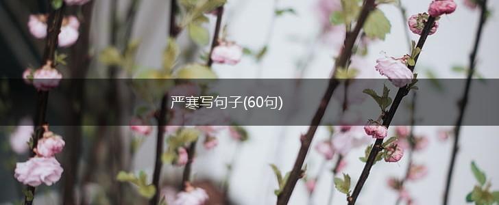 严寒写句子(60句),第1张