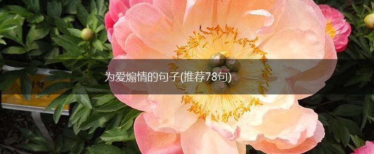 为爱煽情的句子(推荐78句),第1张