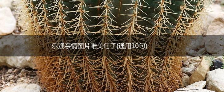 乐观亲情图片唯美句子(通用10句),第1张