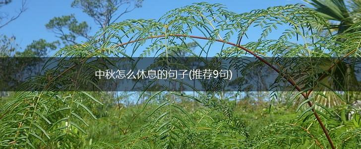 中秋怎么休息的句子(推荐9句),第1张