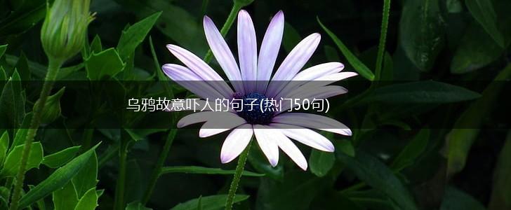 乌鸦故意吓人的句子(热门50句),第1张