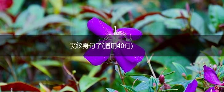 丧纹身句子(通用40句),第1张