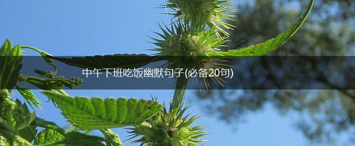 中午下班吃饭幽默句子(必备20句),第1张