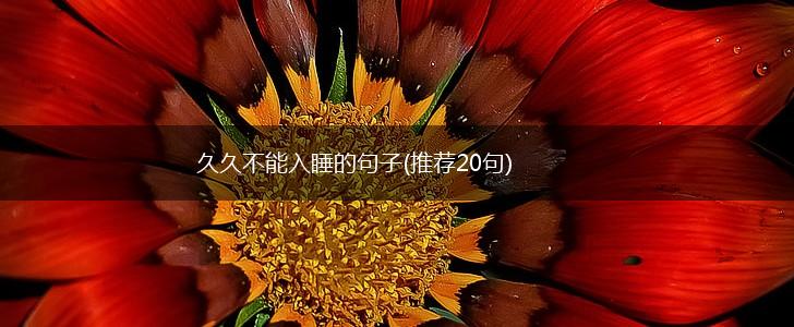 久久不能入睡的句子(推荐20句),第1张