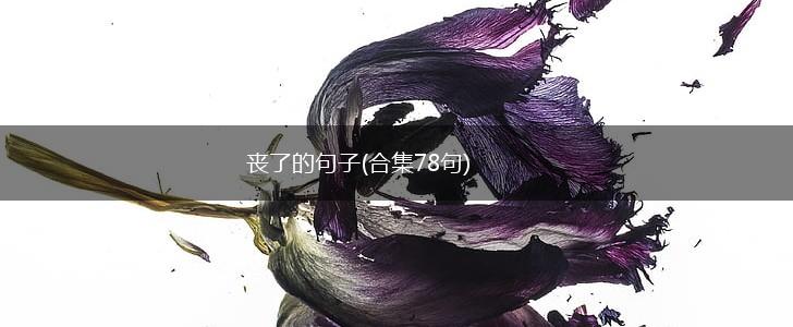丧了的句子(合集78句),第1张