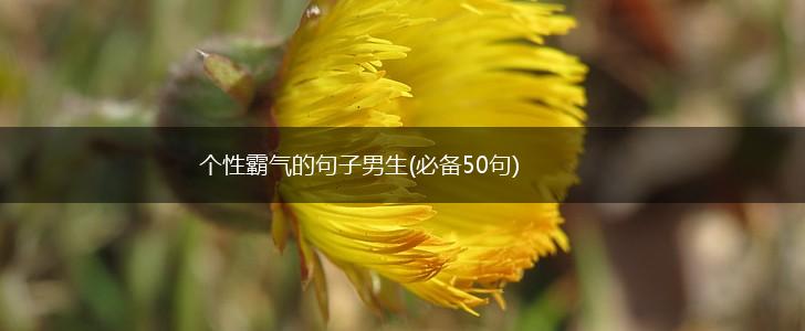 个性霸气的句子男生(必备50句),第1张
