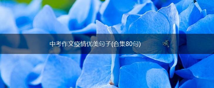 中考作文疫情优美句子(合集80句),第1张