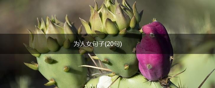 为人女句子(20句),第1张