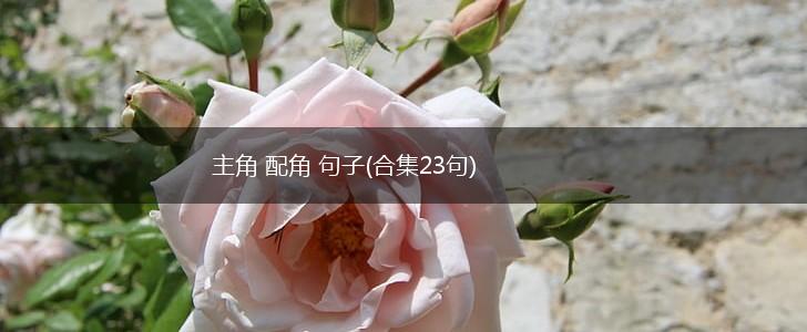 主角 配角 句子(合集23句),第1张