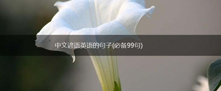中文谚语英语的句子(必备99句),第1张