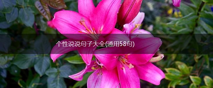个性说说句子大全(通用58句),第1张