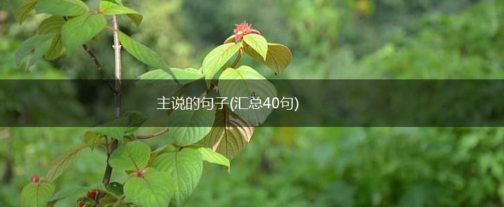 主说的句子(汇总40句),第1张