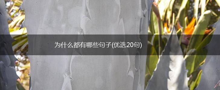 为什么都有哪些句子(优选20句),第1张
