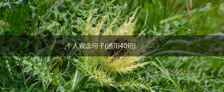 个人观念句子(通用40句),第1张