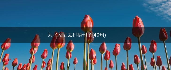 为了家庭去打拼句子(40句),第1张