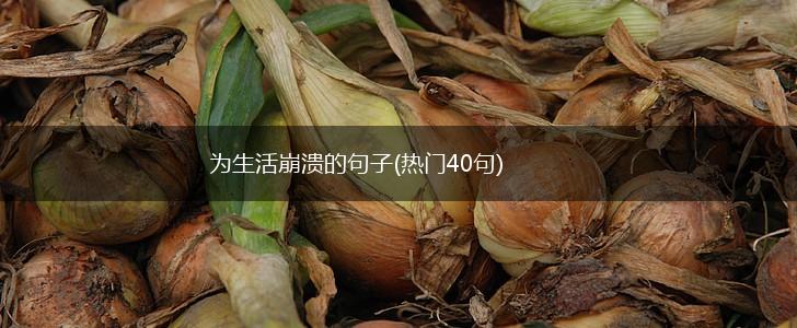 为生活崩溃的句子(热门40句),第1张