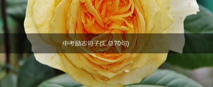 中考励志句子(汇总70句),第1张
