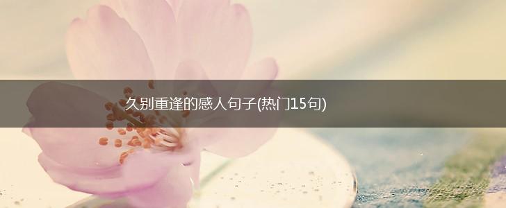 久别重逢的感人句子(热门15句),第1张