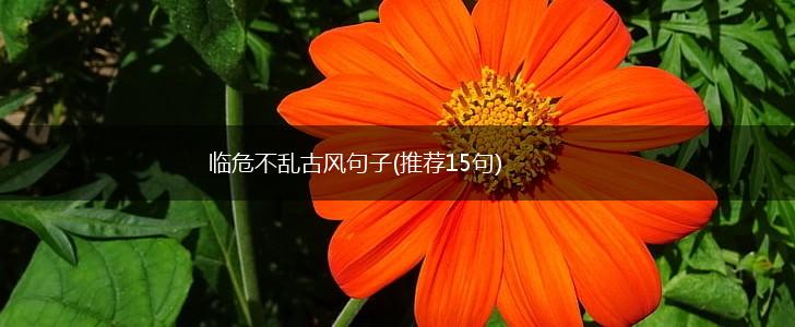 临危不乱古风句子(推荐15句),第1张