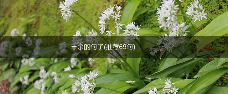 丰余的句子(推荐69句),第1张