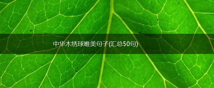 中华木绣球唯美句子(汇总50句),第1张