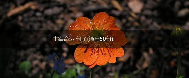 主宰命运 句子(通用50句),第1张