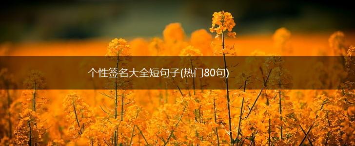 个性签名大全短句子(热门80句),第1张