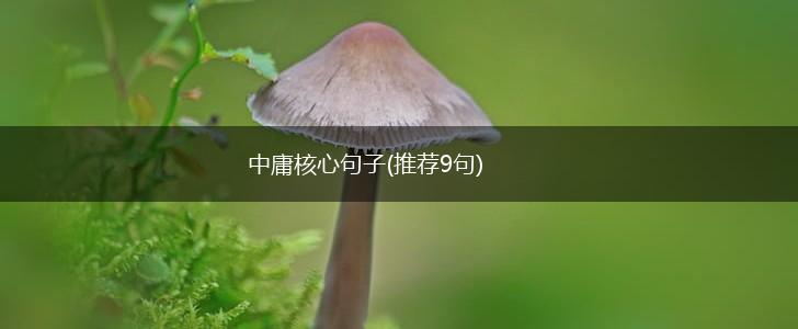 中庸核心句子(推荐9句),第1张