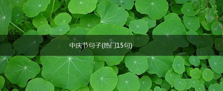 中庆节句子(热门15句),第1张