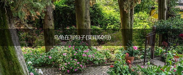 乌龟在写句子(实用60句),第1张