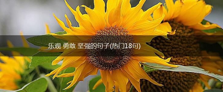 乐观 勇敢 坚强的句子(热门18句),第1张
