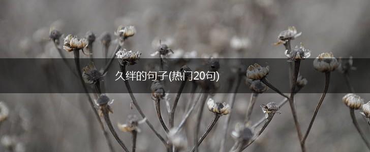 久绊的句子(热门20句),第1张