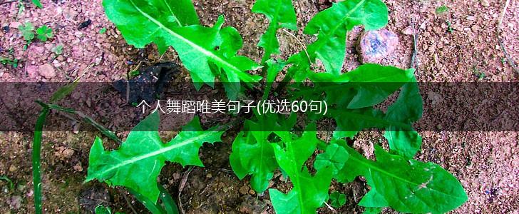 个人舞蹈唯美句子(优选60句),第1张