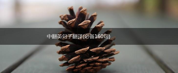 中翻英句子翻译(必备160句),第1张
