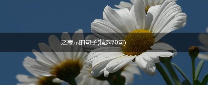 之表示的句子(精选70句),第1张