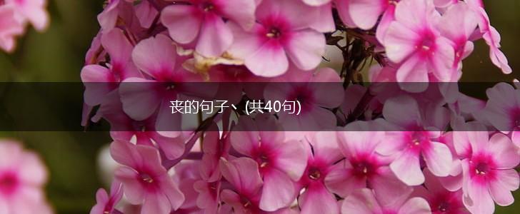 丧的句子丶(共40句),第1张
